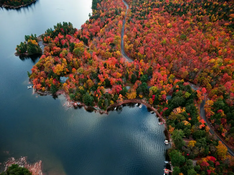Aerial view of a river through boreal forest in autumn
